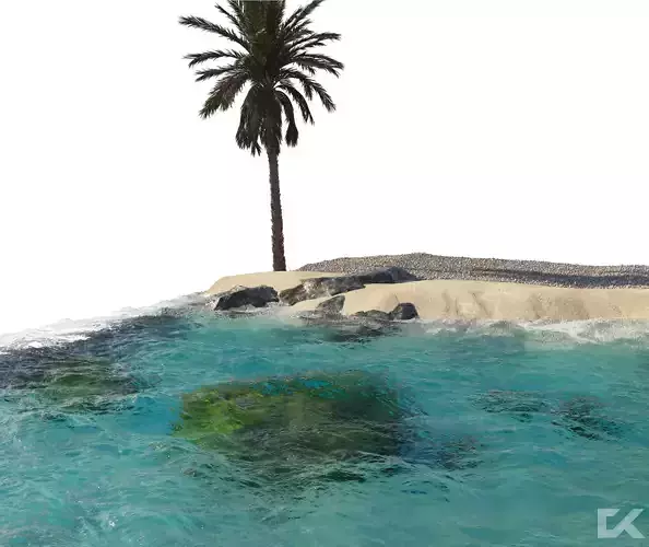 Ocean island with palm tree