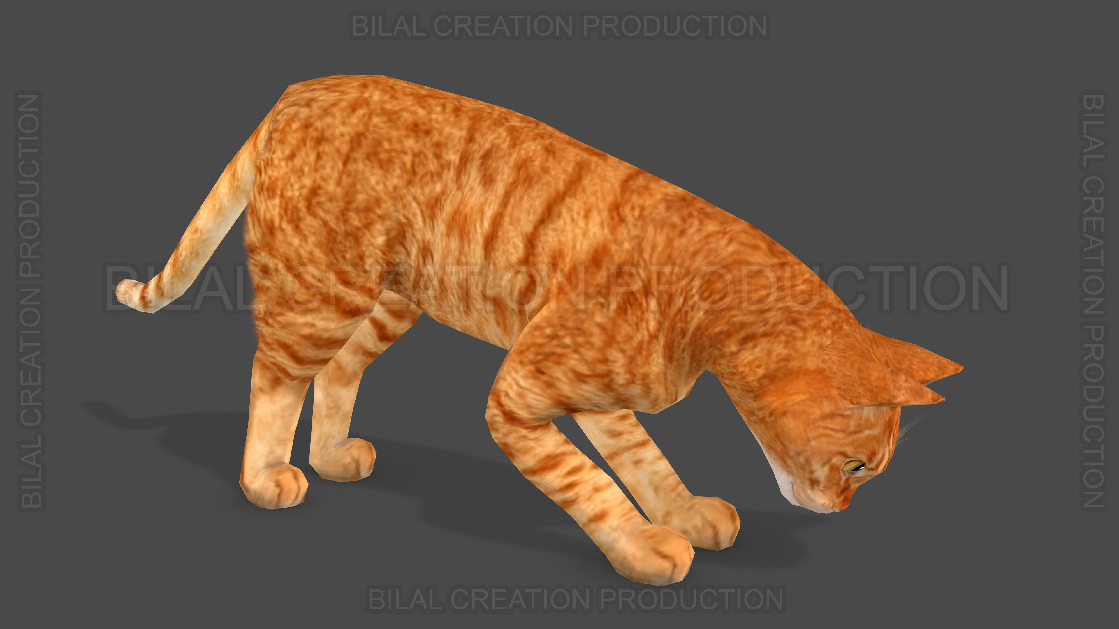 Animated Cat 3D model_10