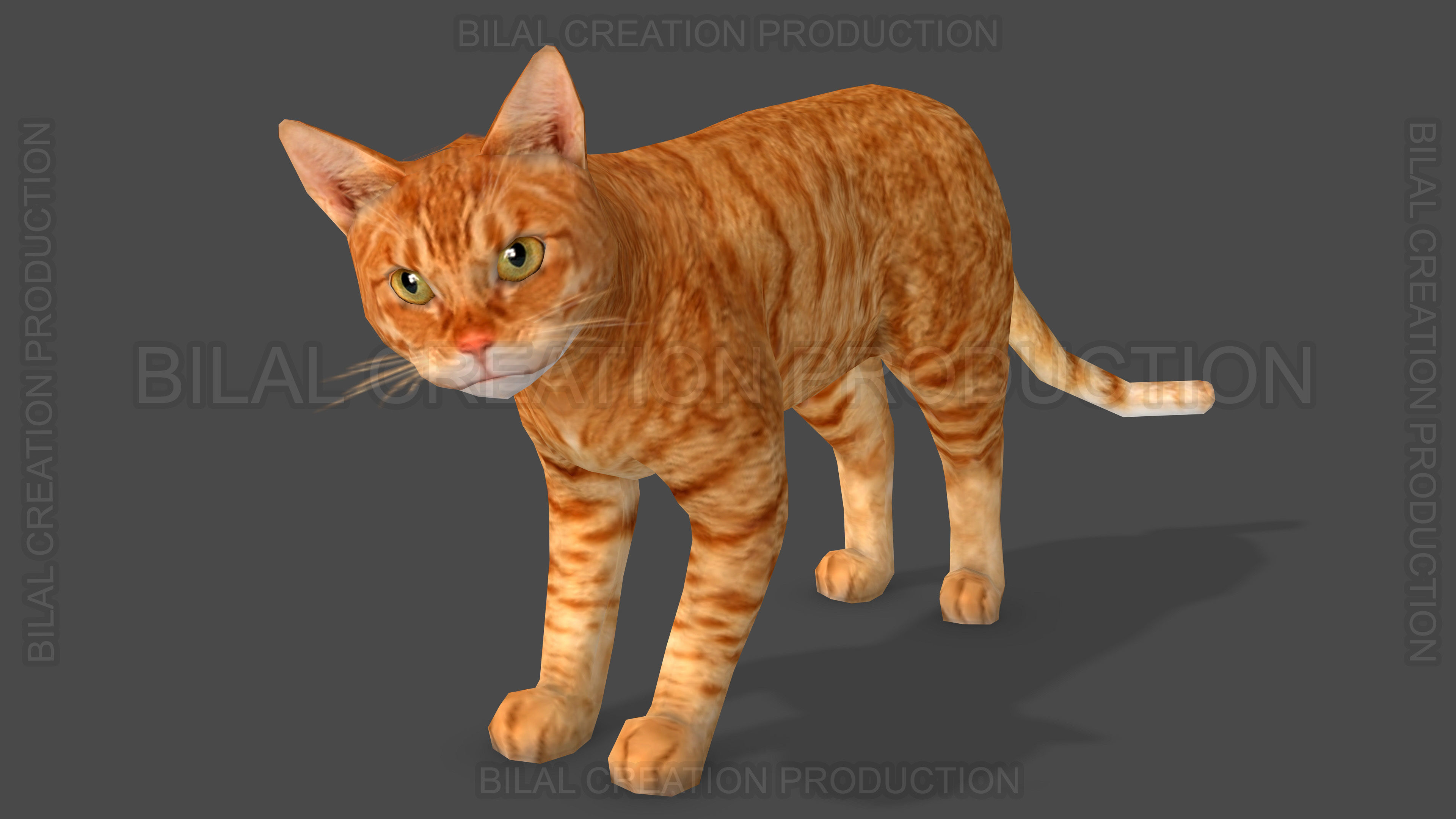 Animated Cat 3D model_9