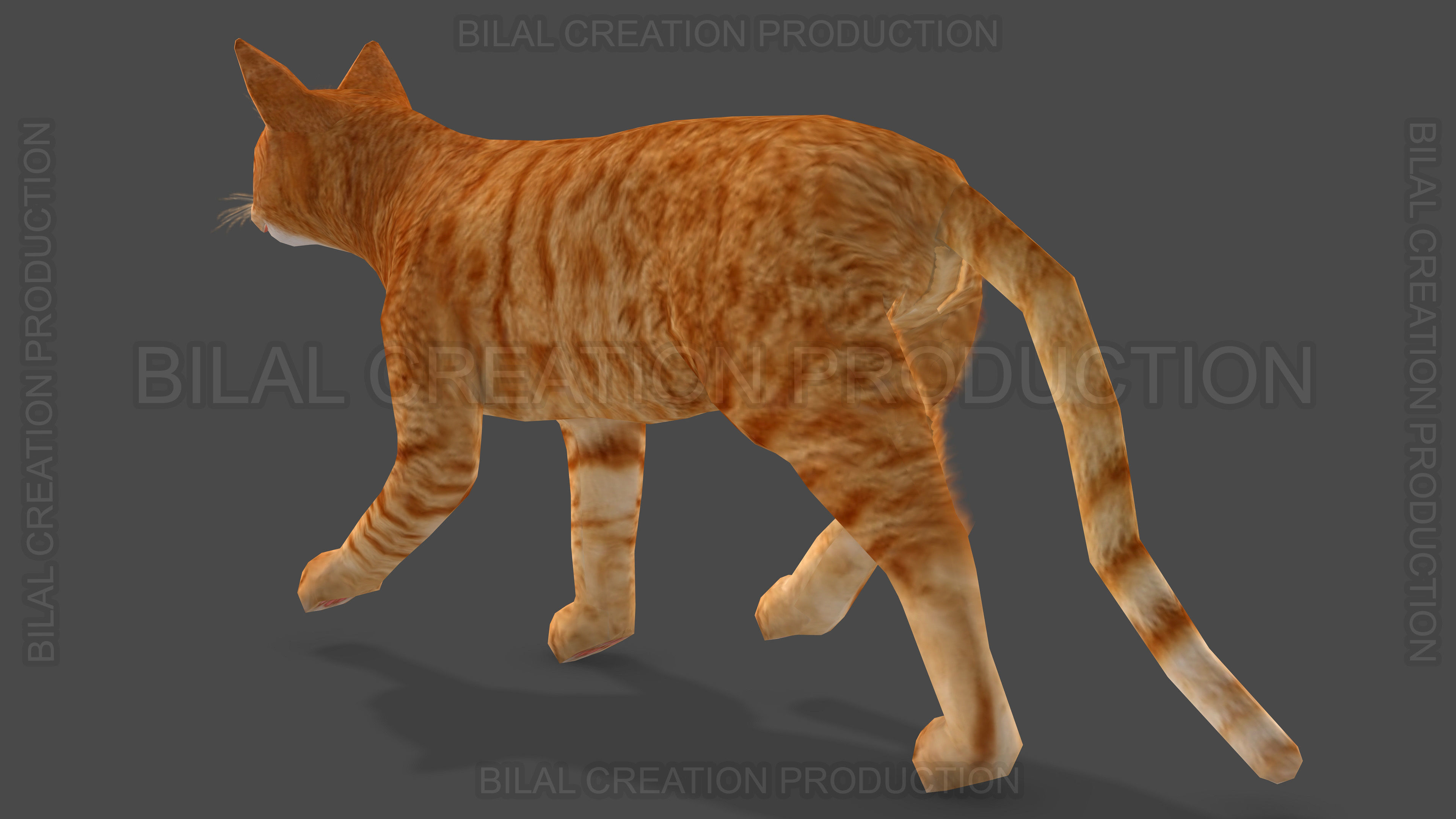 Animated Cat 3D model_3