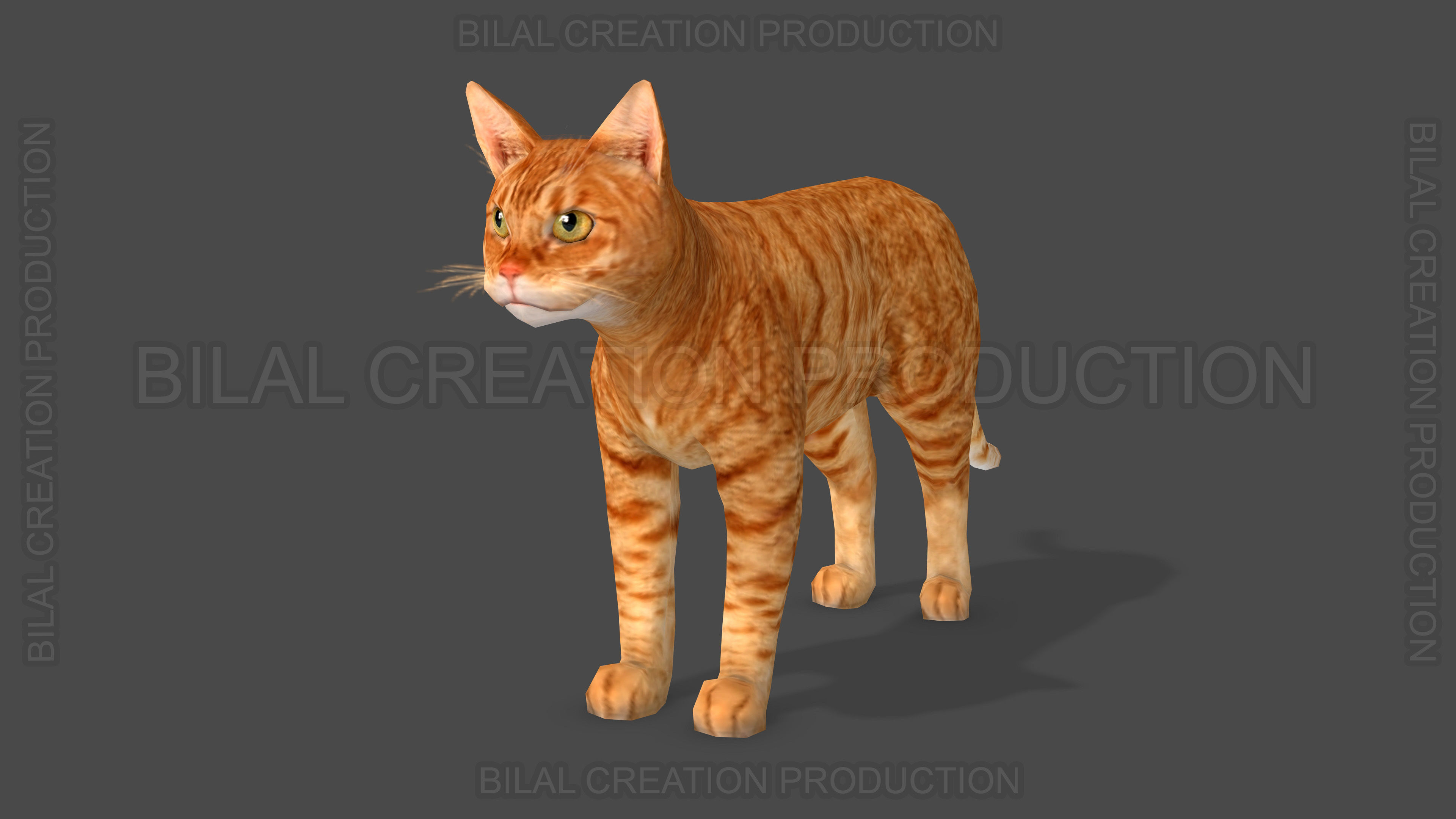 Animated Cat 3D model_2
