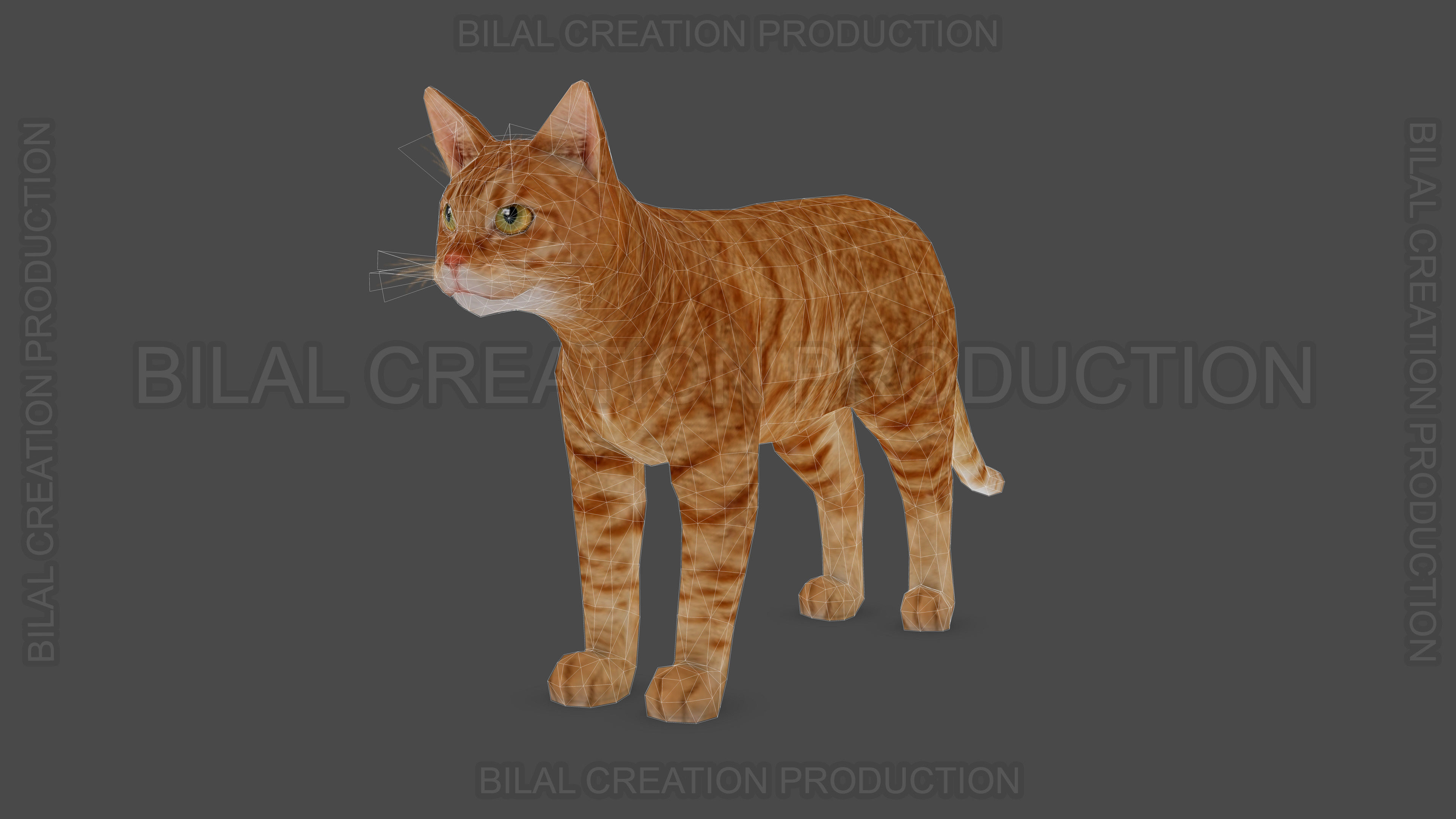 Animated Cat 3D model_14