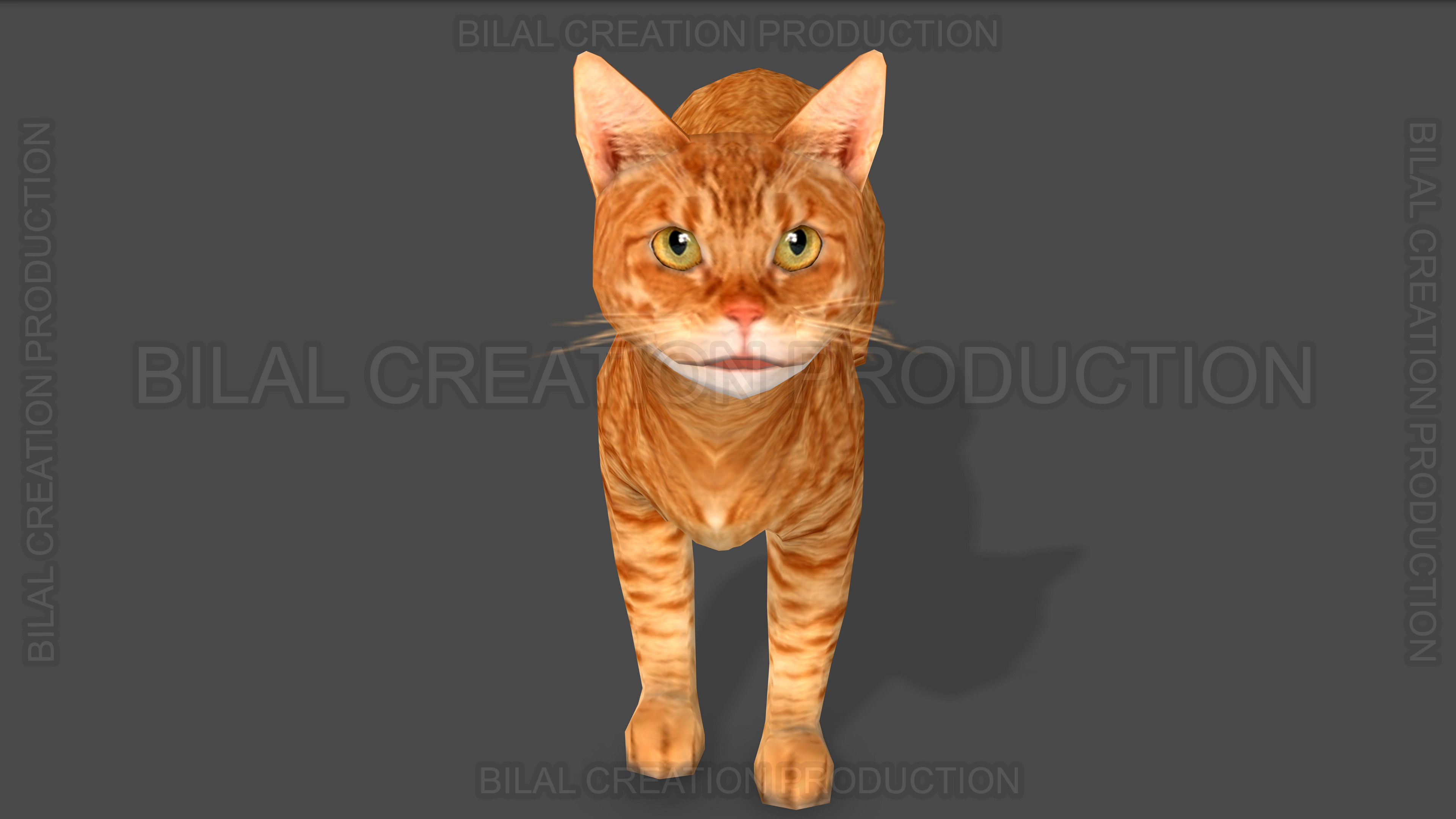 Animated Cat 3D model_11