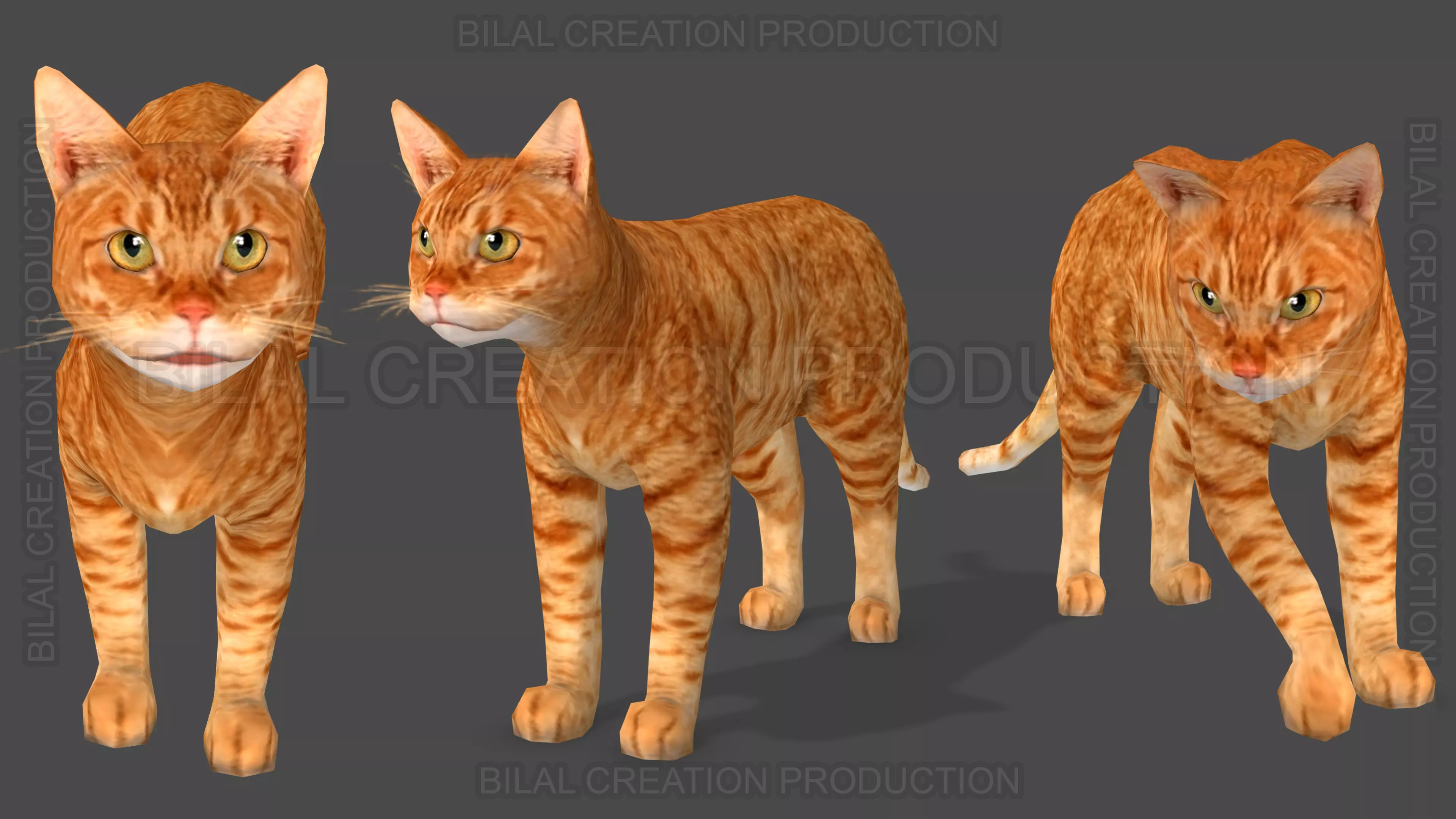 Animated Cat 3D model_0