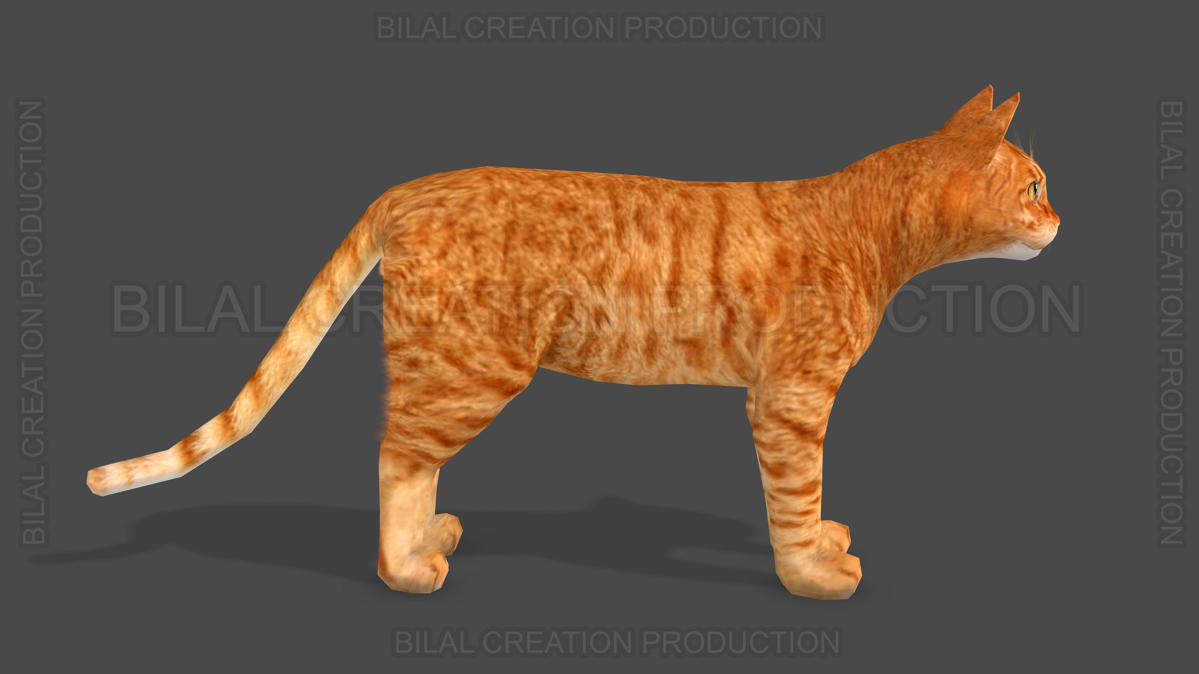 Animated Cat 3D model_6
