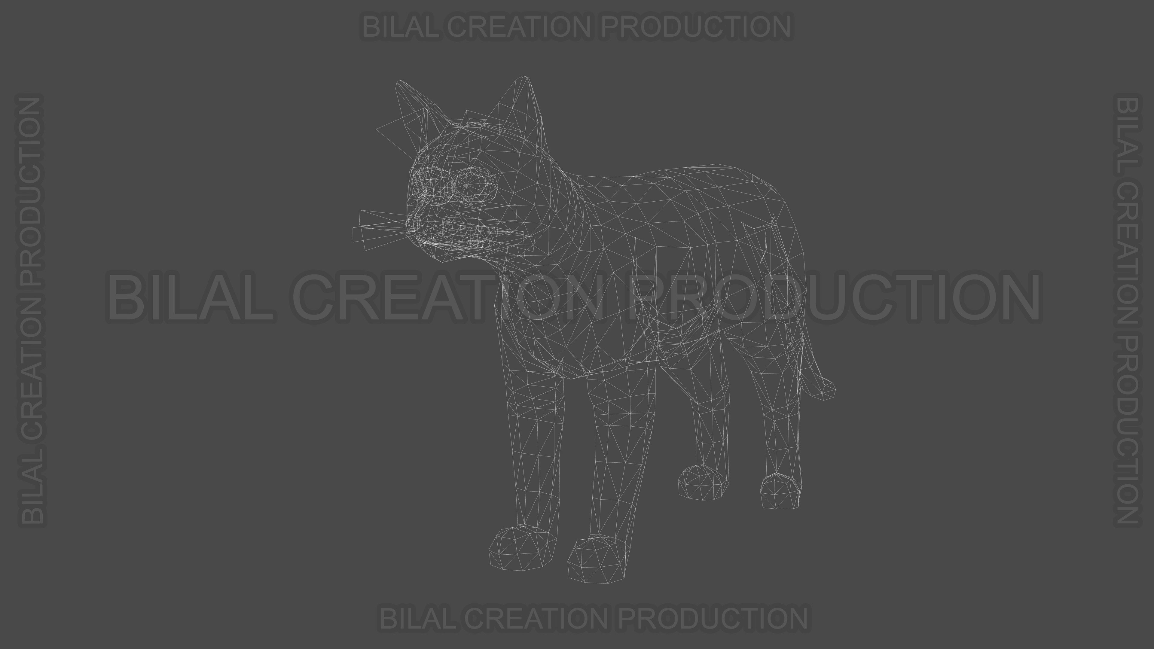 Animated Cat 3D model_19