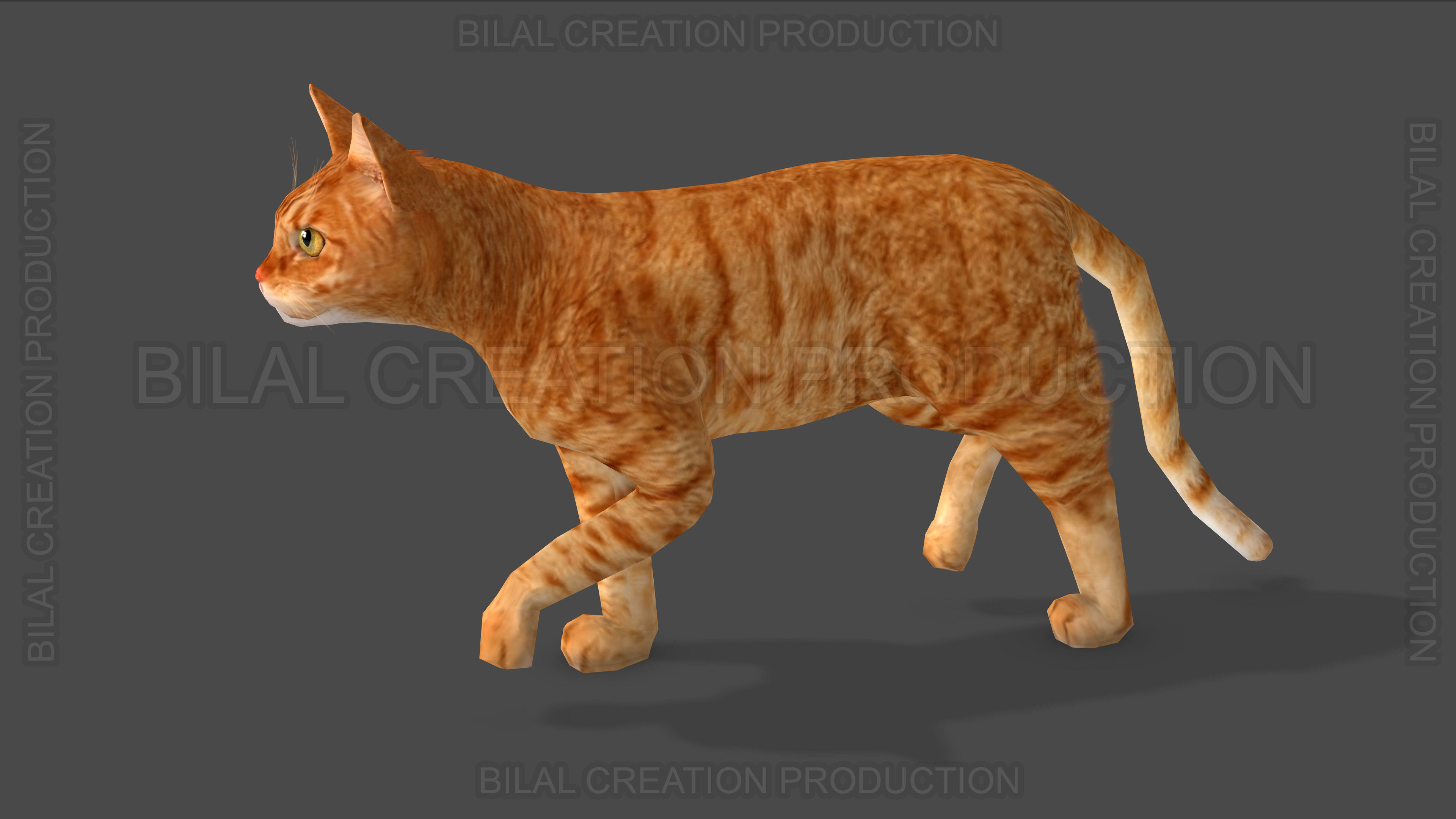 Animated Cat 3D model_7