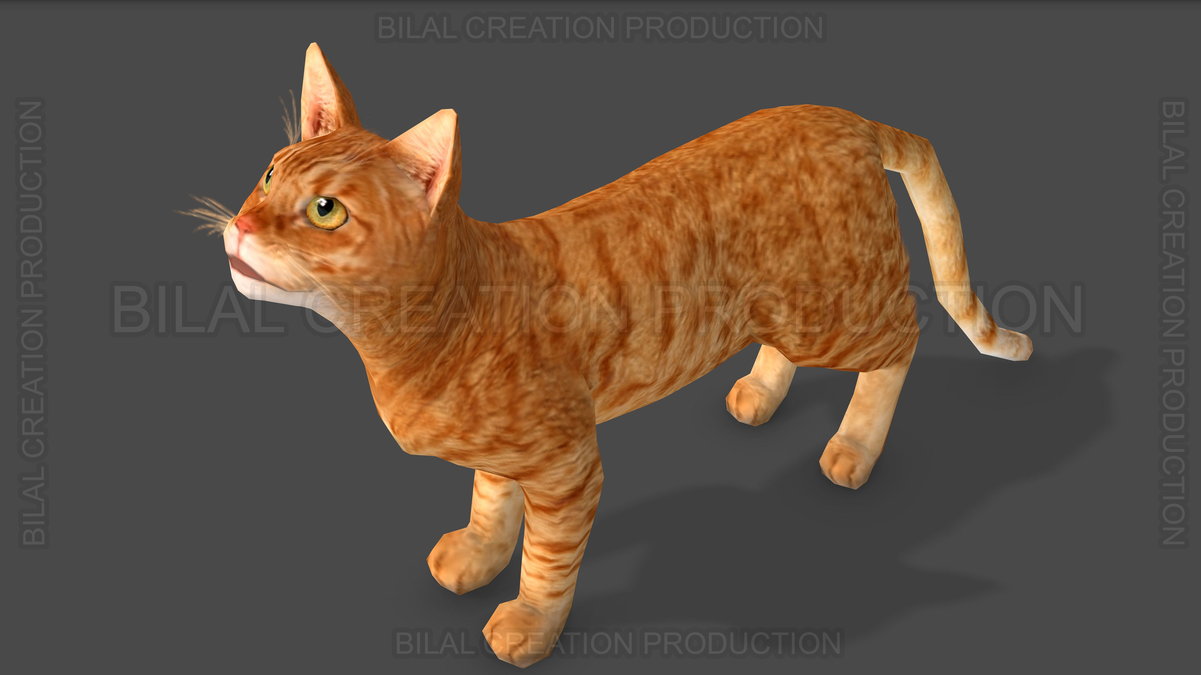 Animated Cat 3D model_12