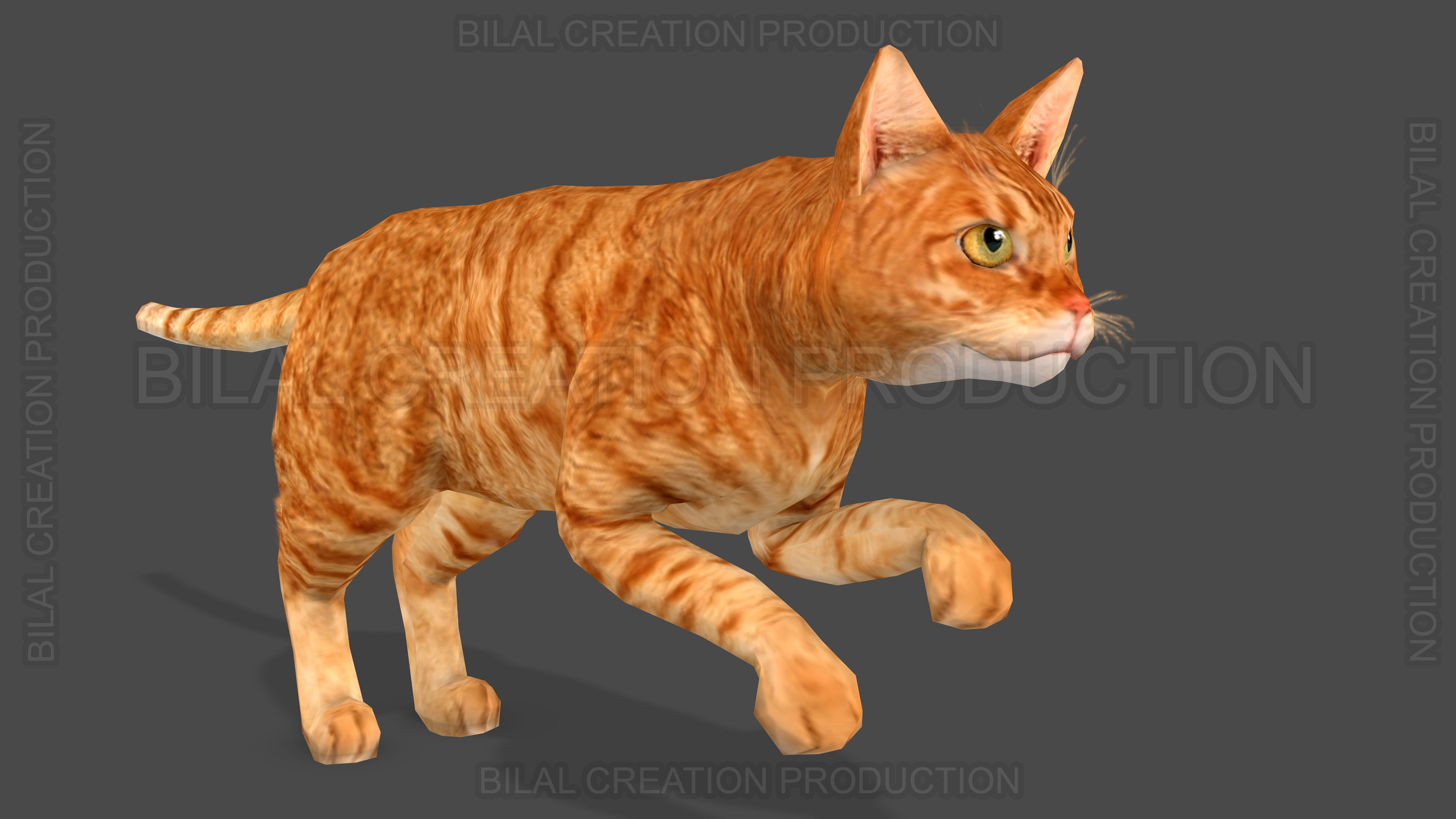 Animated Cat 3D model_4