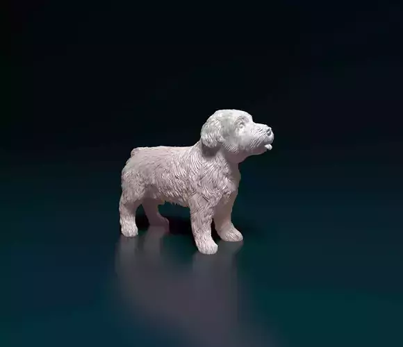 Mini Schnauzer