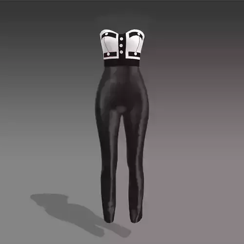 BLOUSE  AND PANT JUMPSUIT 3D model
