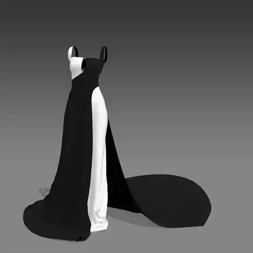 DRESS COLOR BLACK AND WHITE 