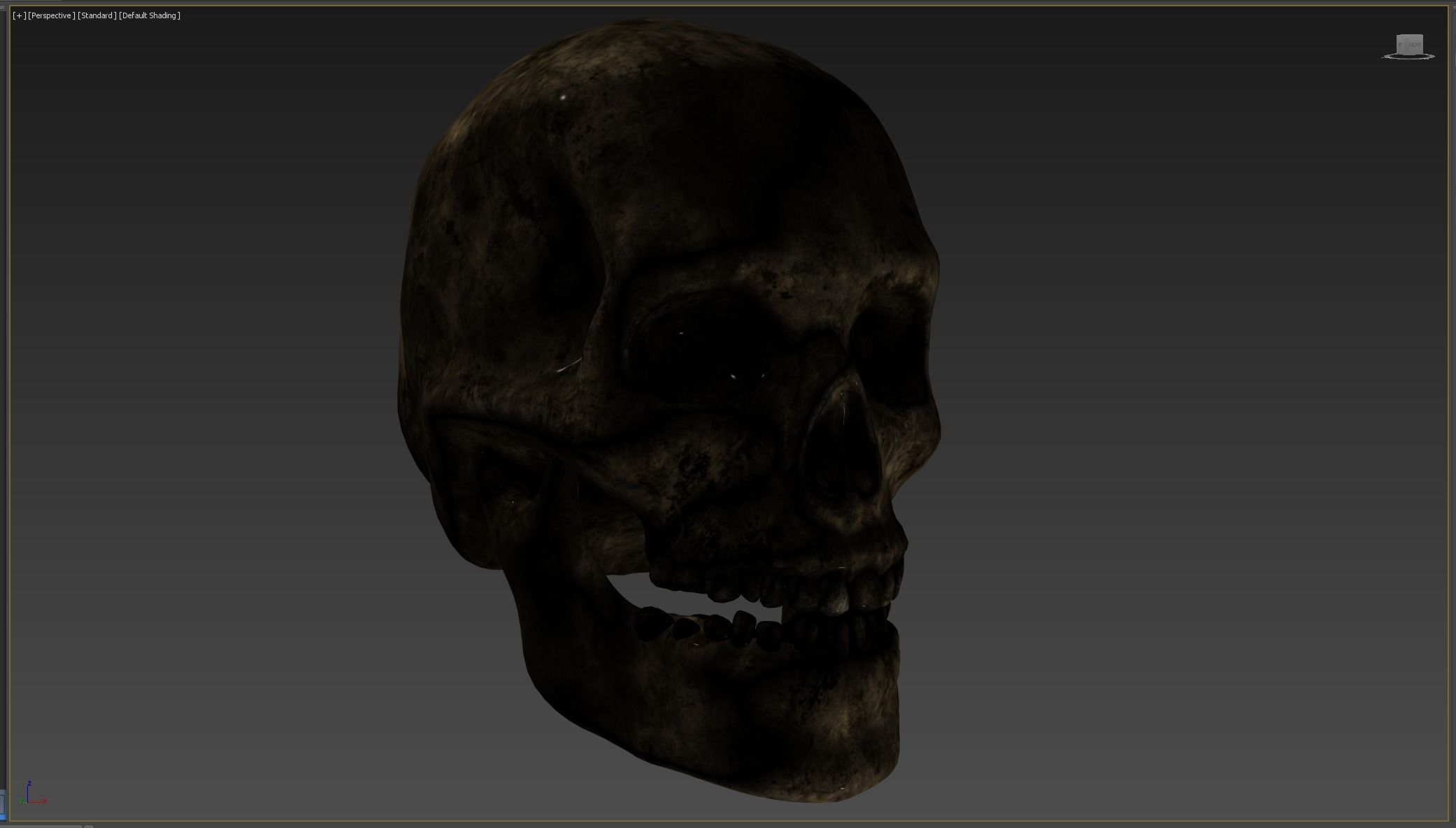 Human skull Low-poly 3D model_8