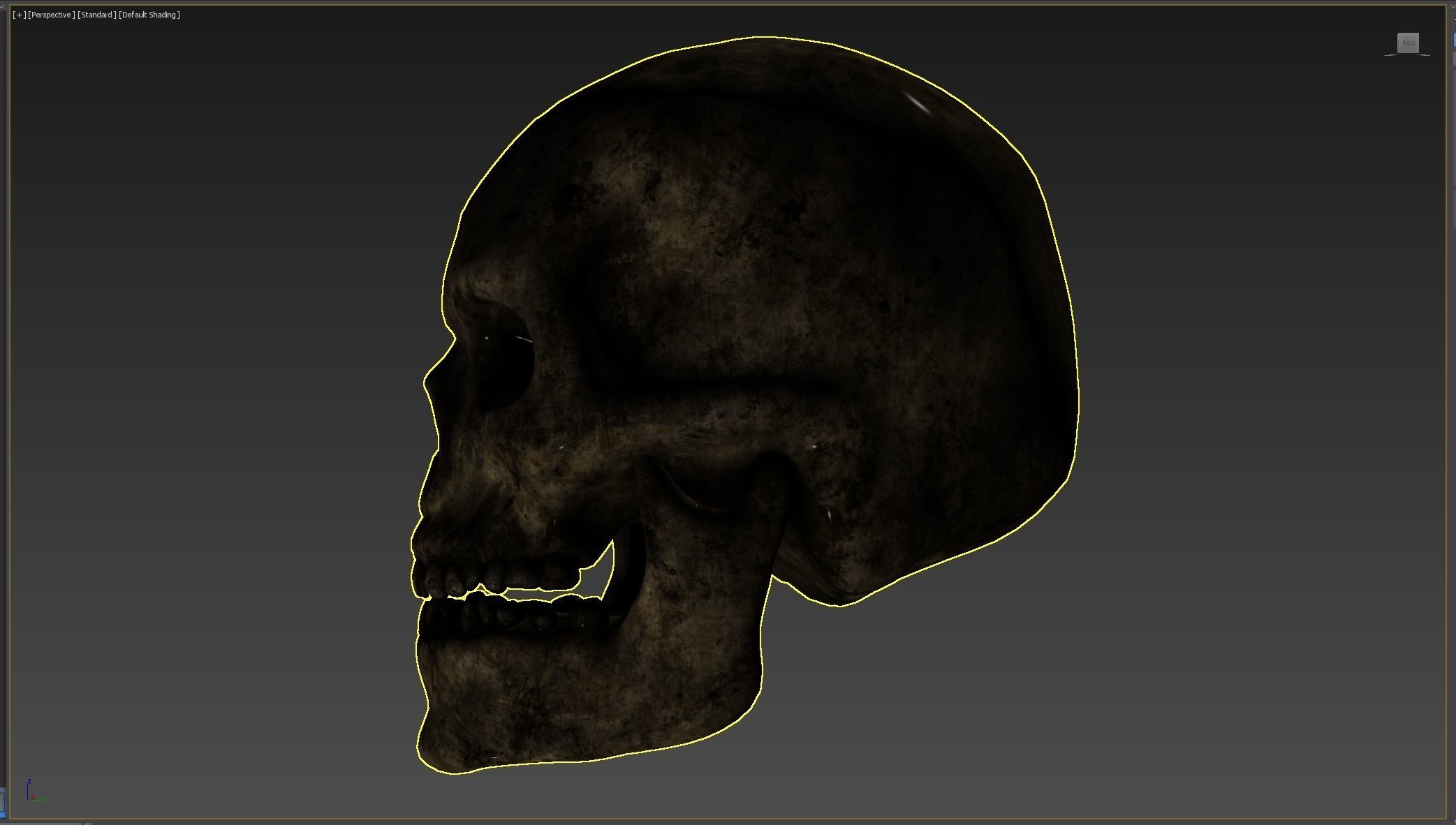 Human skull Low-poly 3D model_10