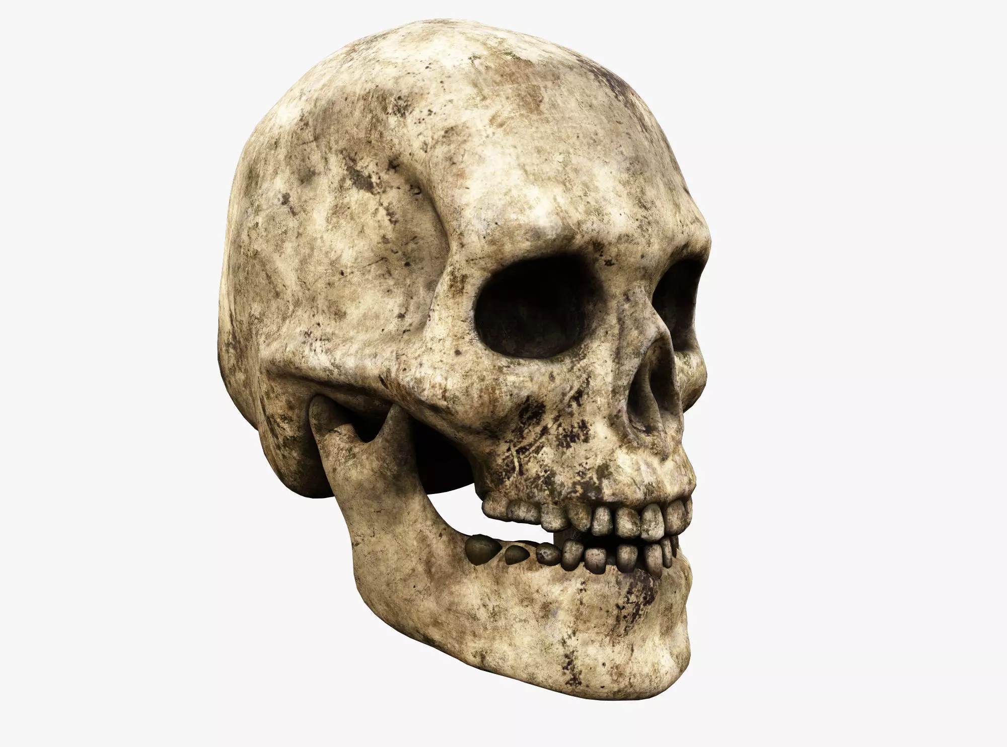 Human skull Low-poly 3D model_0