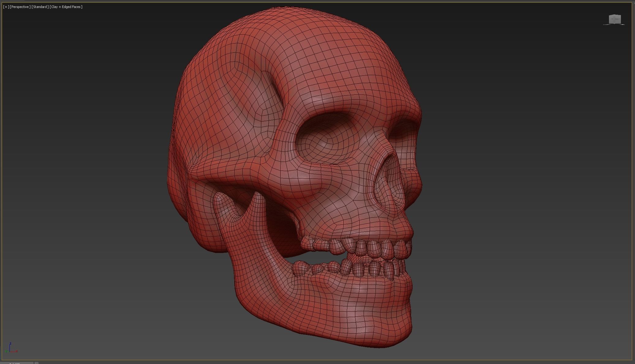 Human skull Low-poly 3D model_7