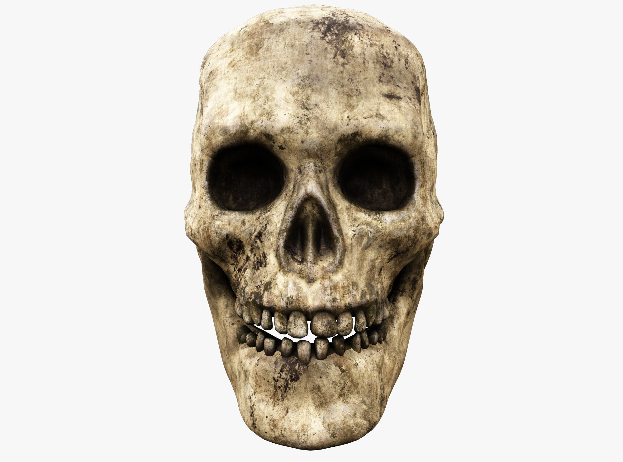 Human skull Low-poly 3D model_1