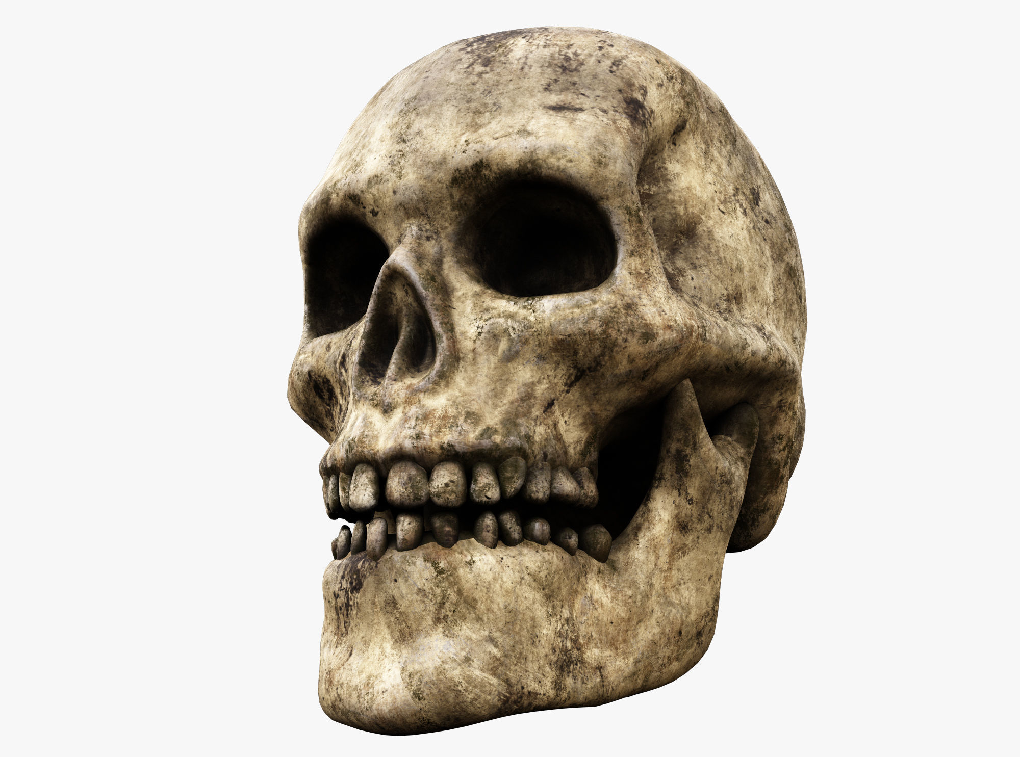 Human skull Low-poly 3D model_2