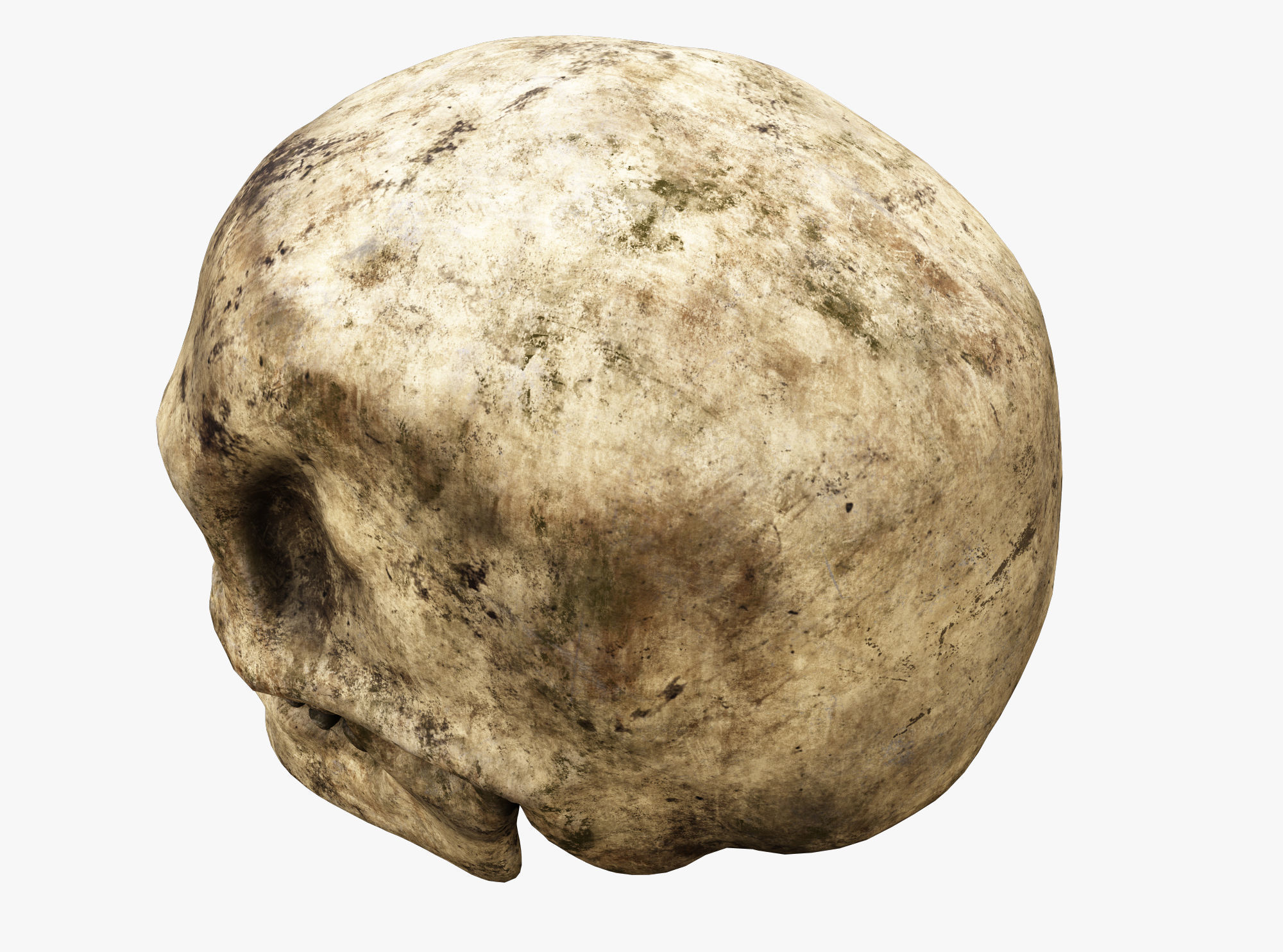 Human skull Low-poly 3D model_4