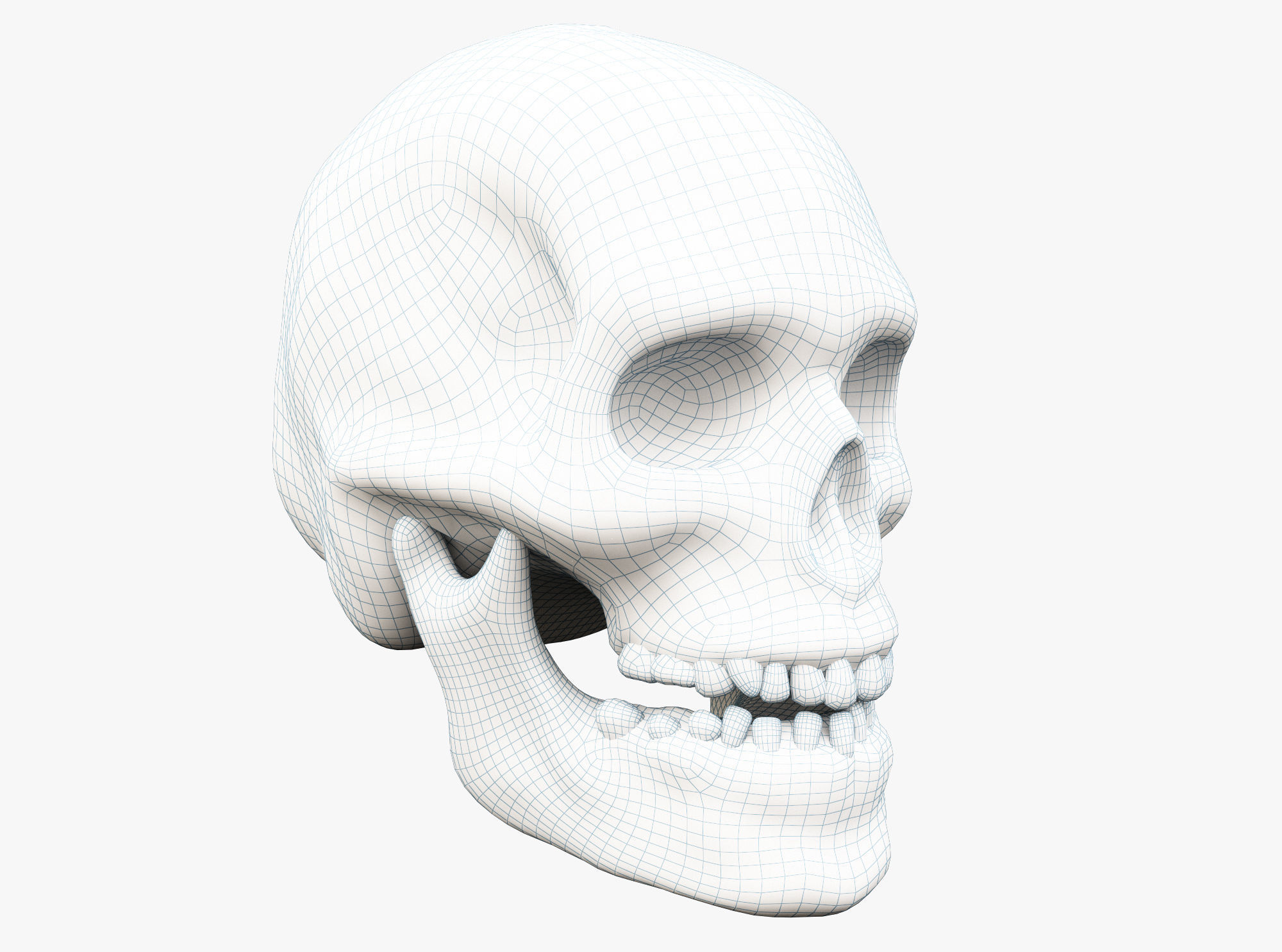 Human skull Low-poly 3D model_5