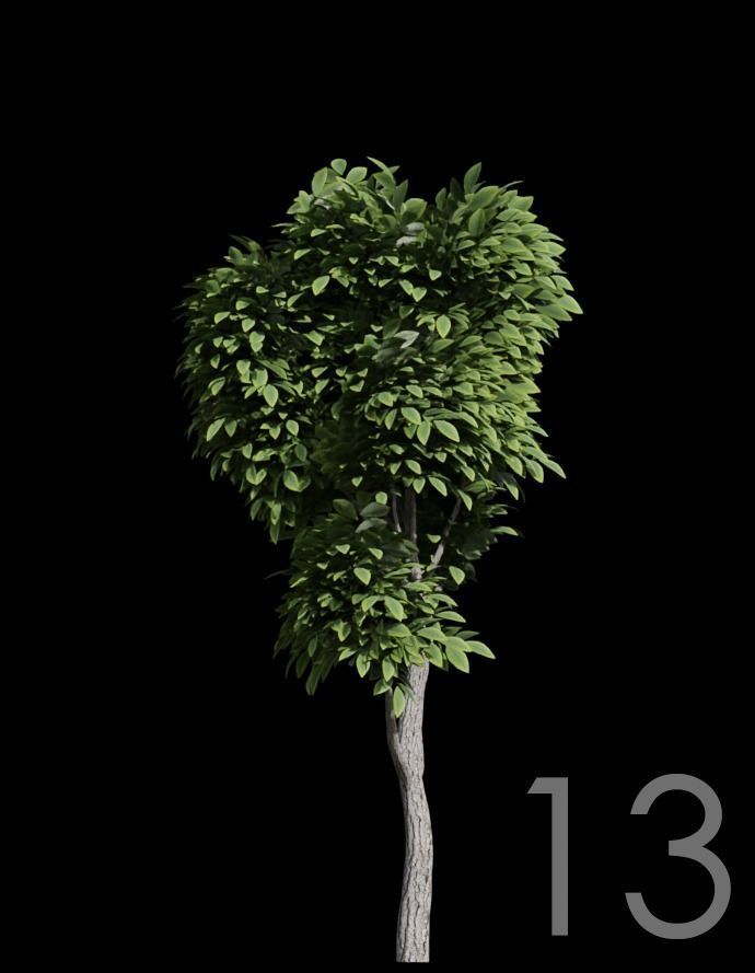Tree Stylized 15 variations 3D model_12