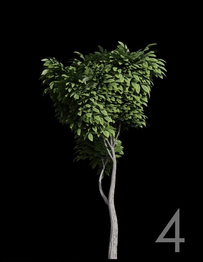 Tree Stylized 15 variations 3D model_3