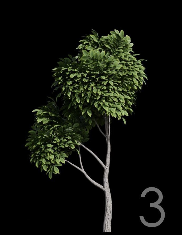 Tree Stylized 15 variations 3D model_2