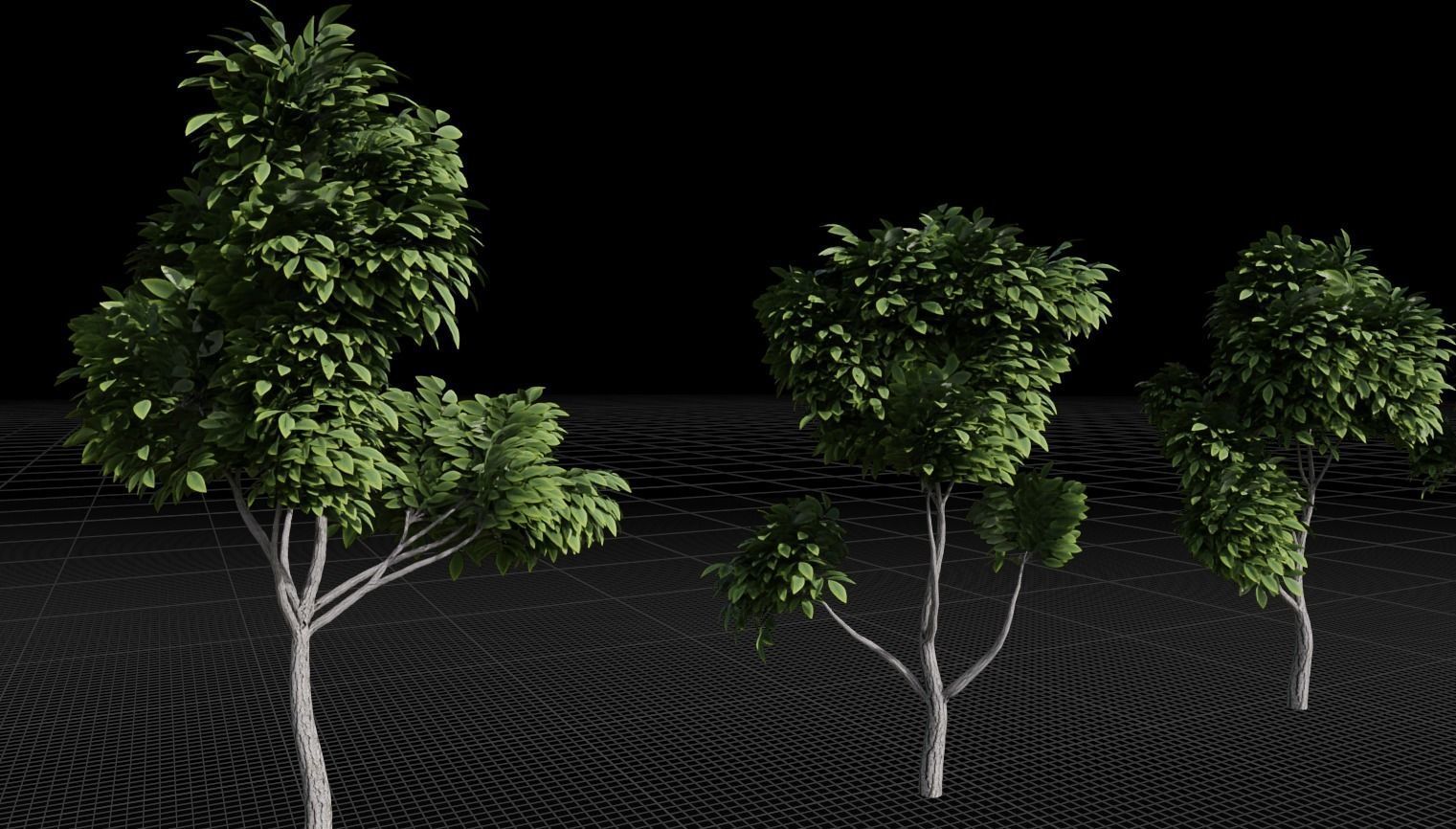 Tree Stylized 15 variations 3D model_18