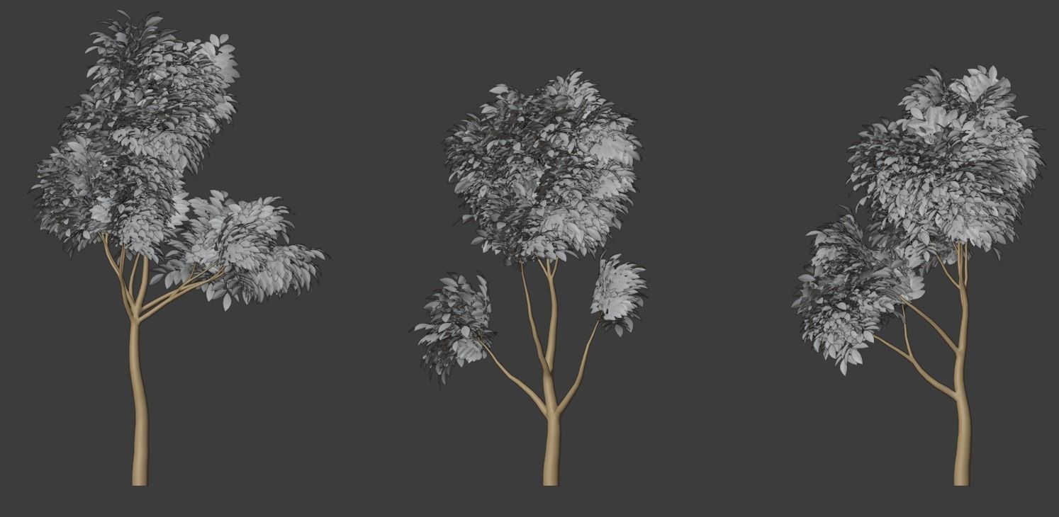 Tree Stylized 15 variations 3D model_17