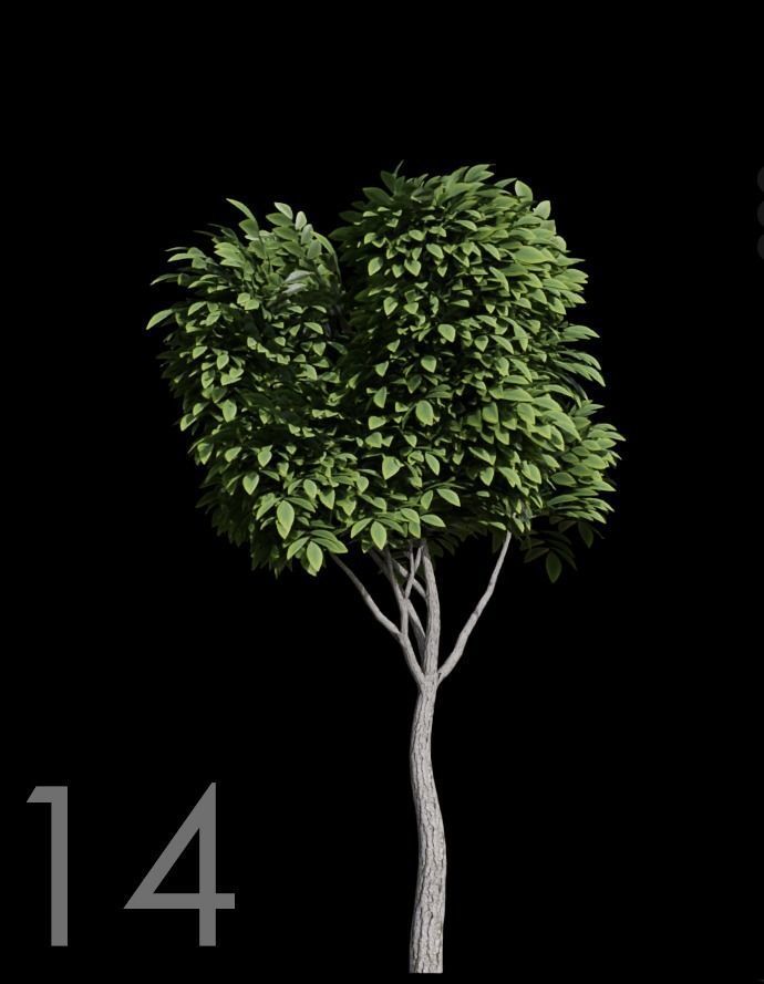 Tree Stylized 15 variations 3D model_13