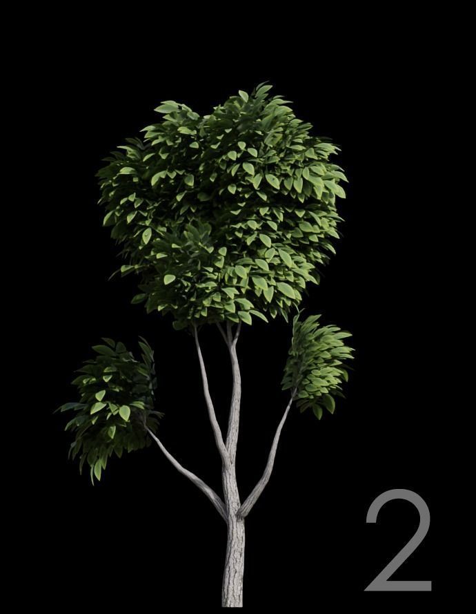 Tree Stylized 15 variations 3D model_1