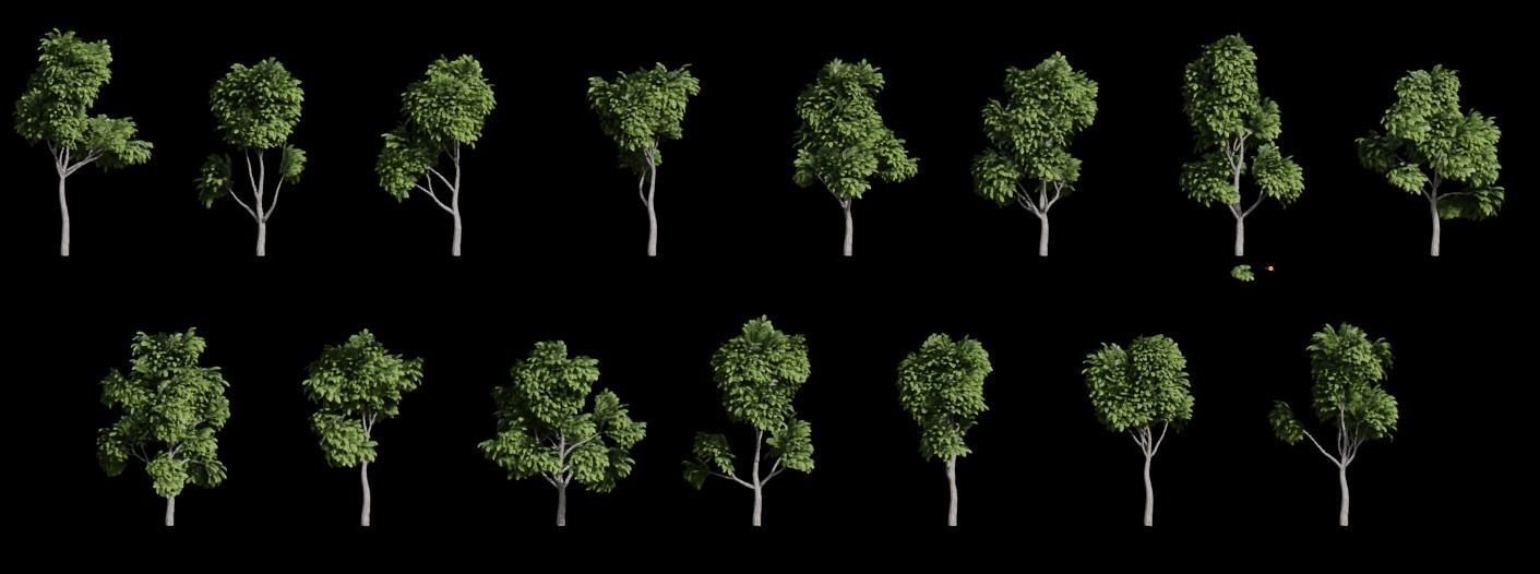 Tree Stylized 15 variations 3D model_15