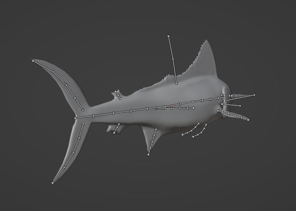Sword Fish Animated Low-poly 3D model_18