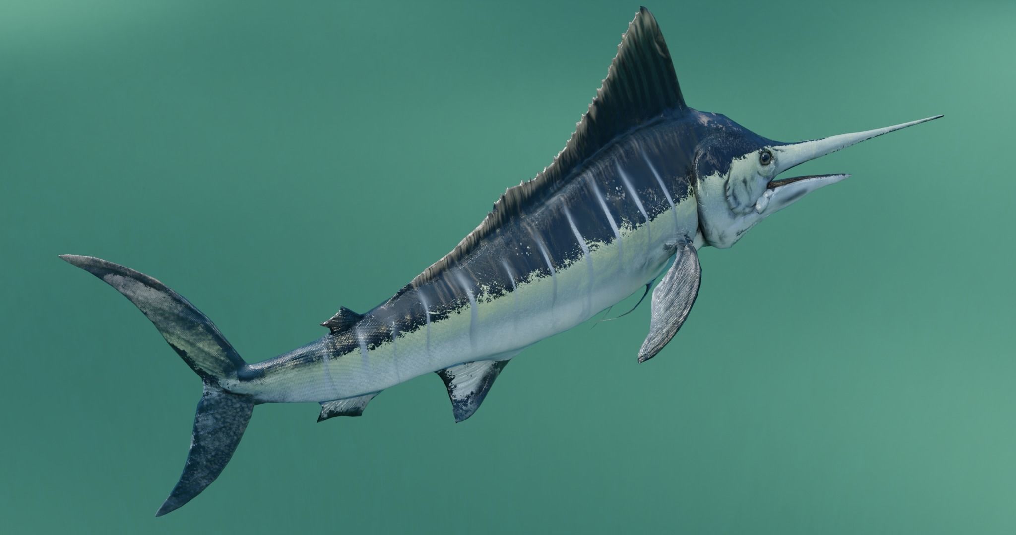 Sword Fish Animated Low-poly 3D model_5