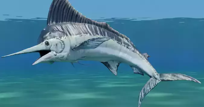 Sword Fish Animated Low-poly 3D model