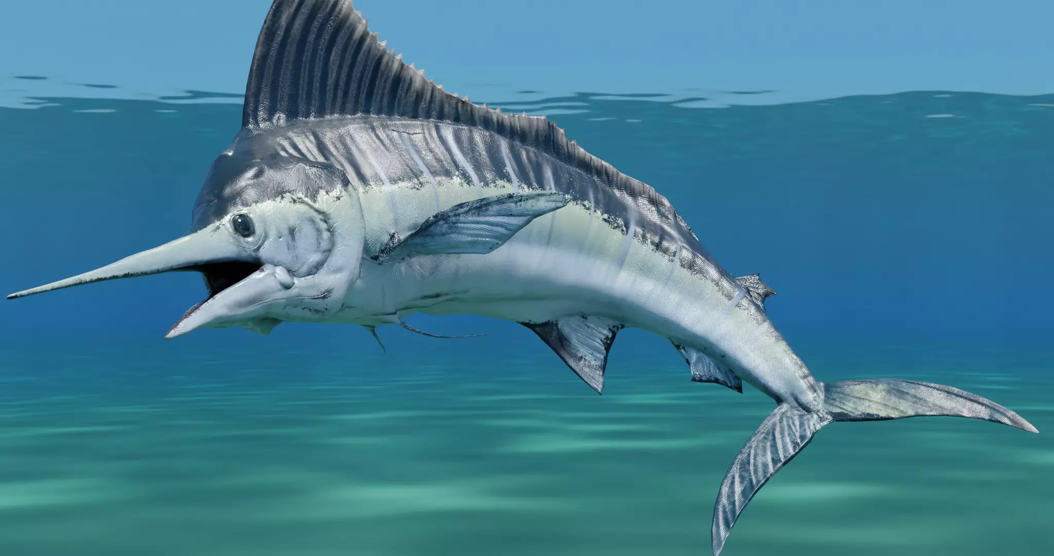 Sword Fish Animated Low-poly 3D model_0