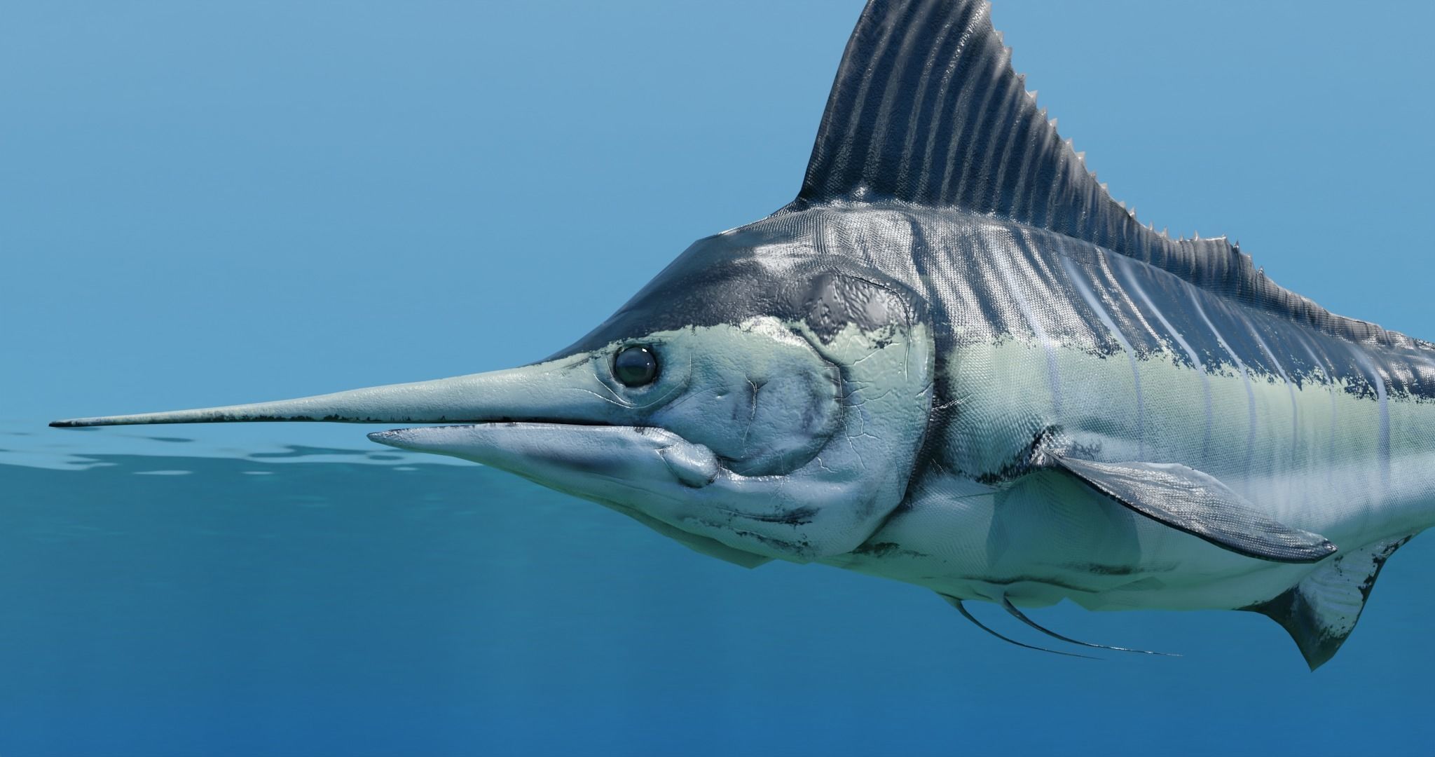 Sword Fish Animated Low-poly 3D model_4