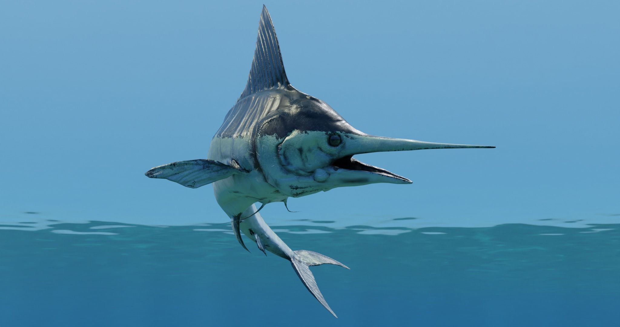 Sword Fish Animated Low-poly 3D model_3