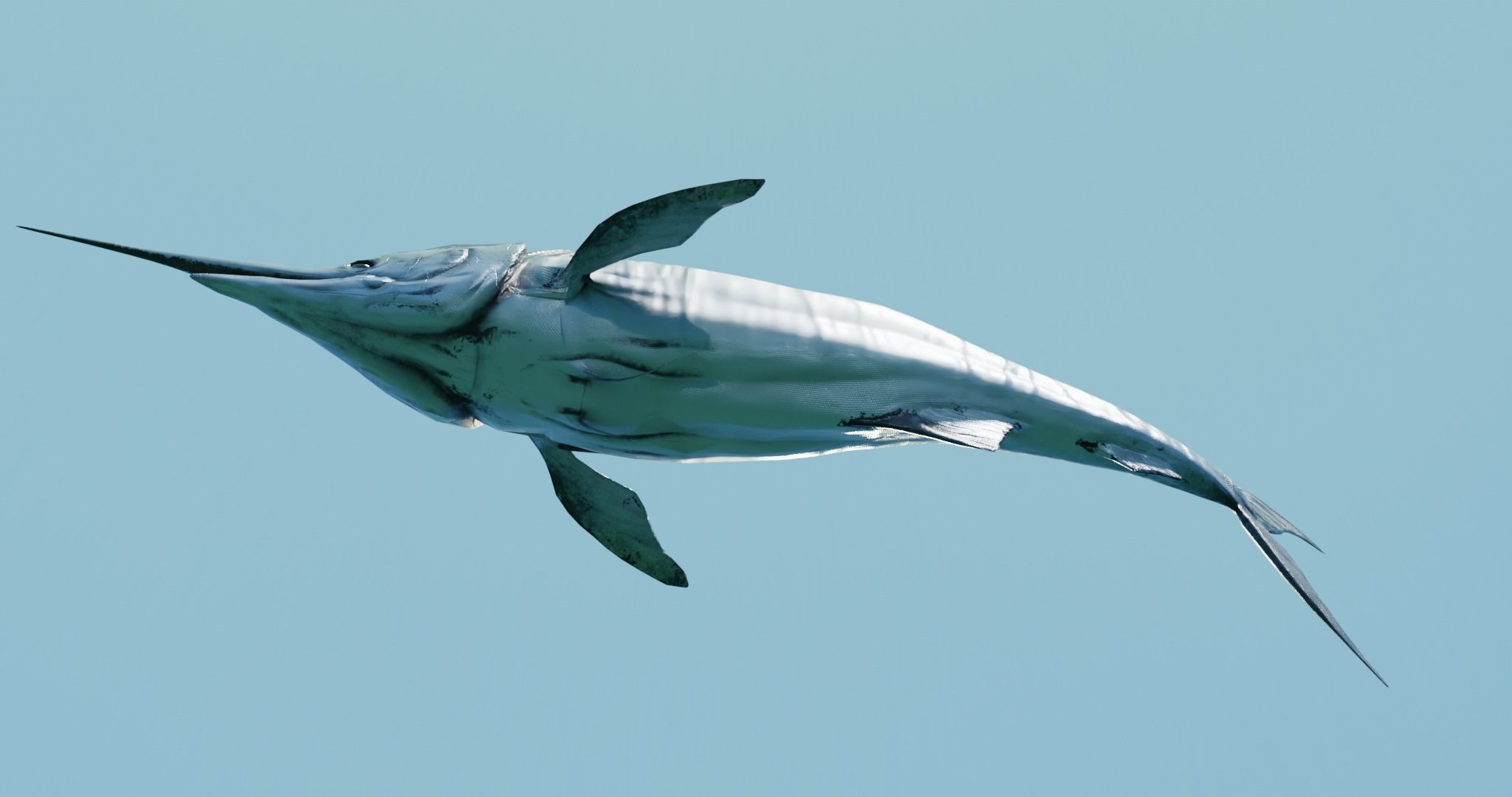 Sword Fish Animated Low-poly 3D model_6