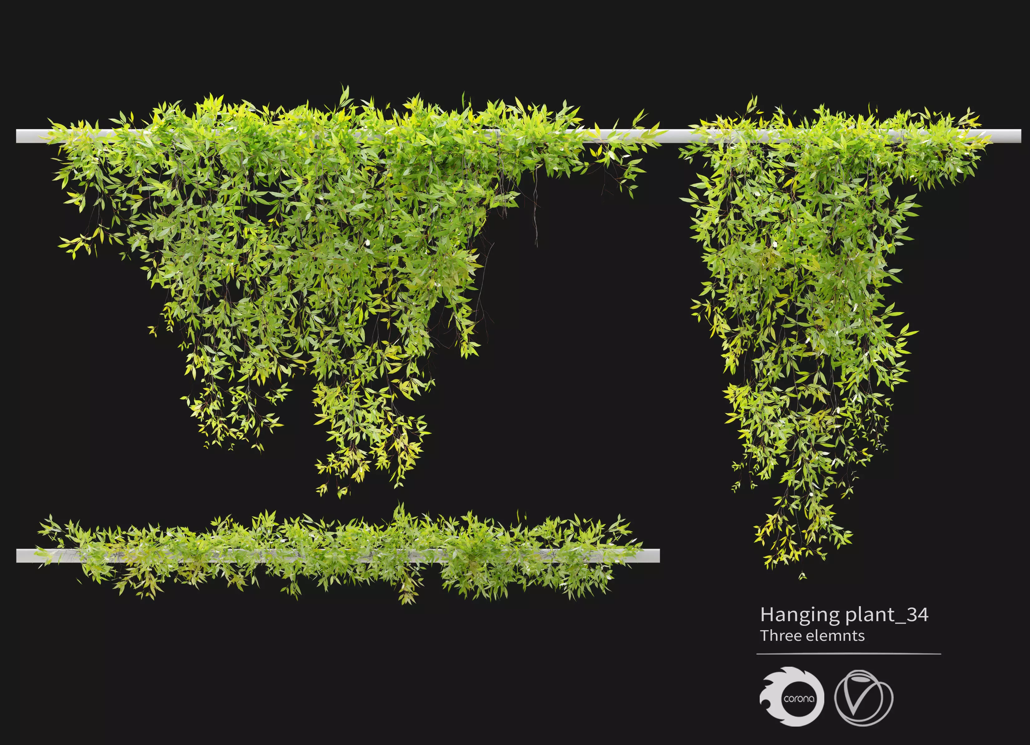 Hanging plant 34 3D model