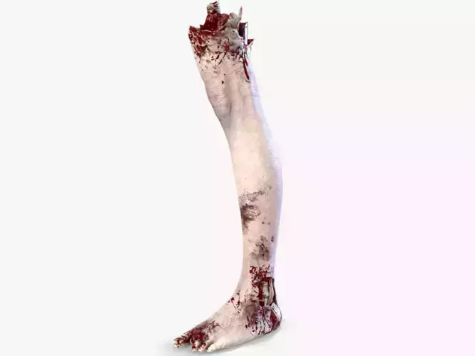 Severed Foot 3