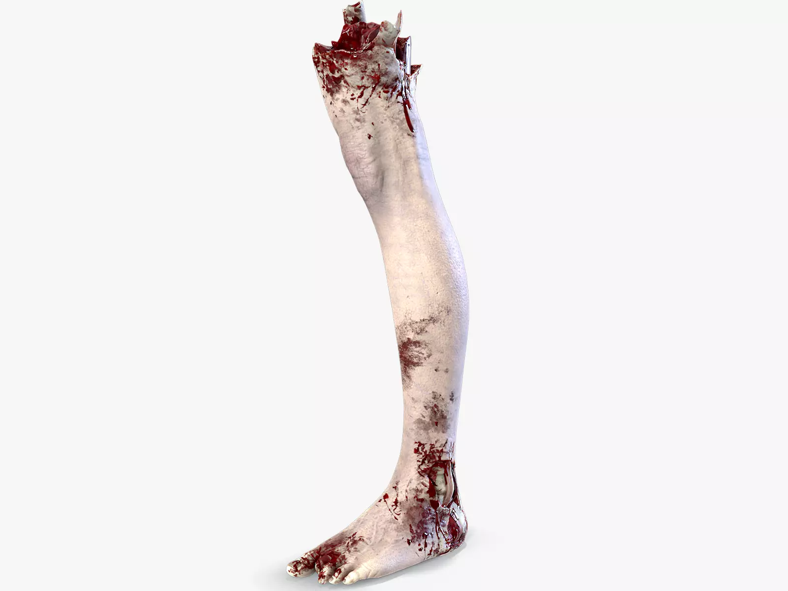 Severed Foot 3 Low-poly 3D model