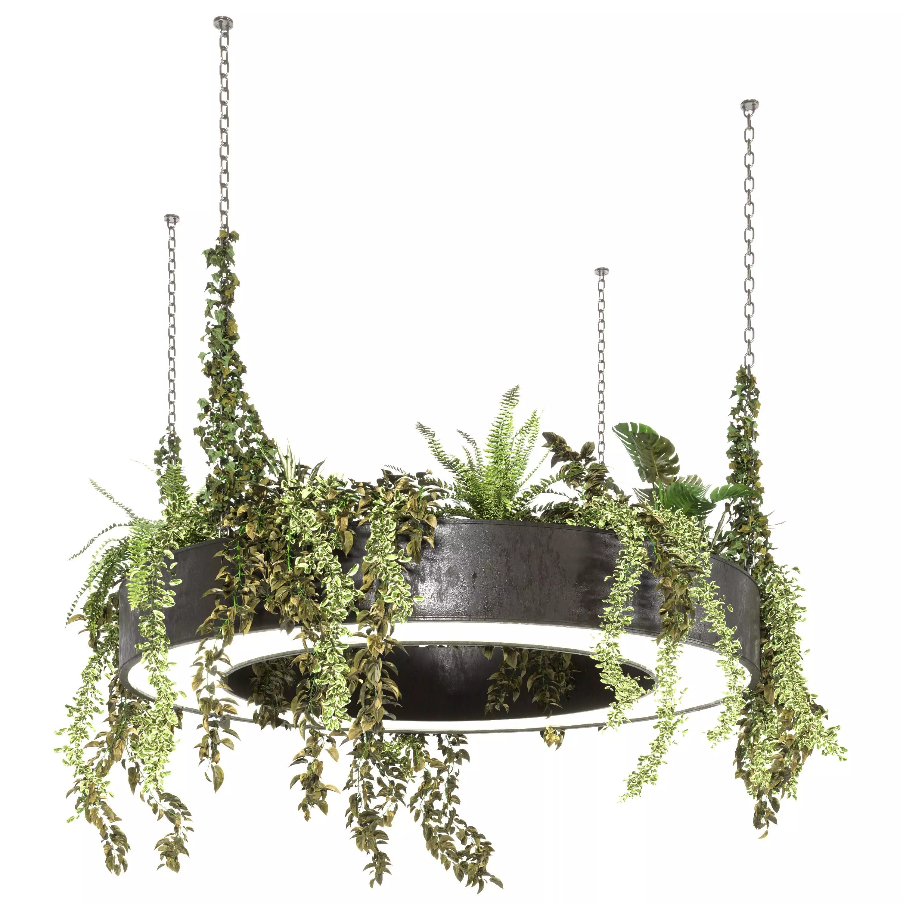 hanging plant 04 3D model