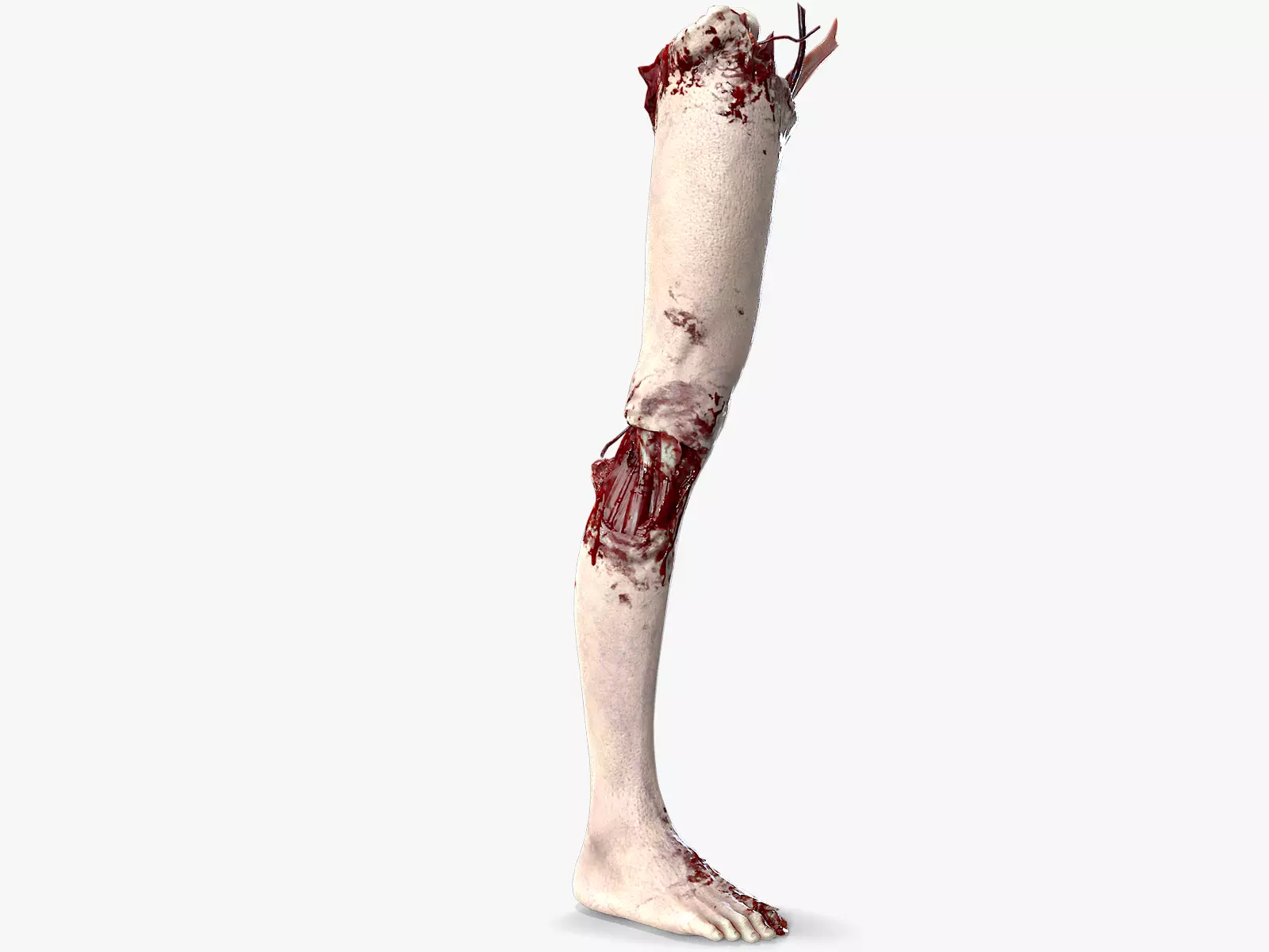 Severed Foot 4 Low-poly 3D model