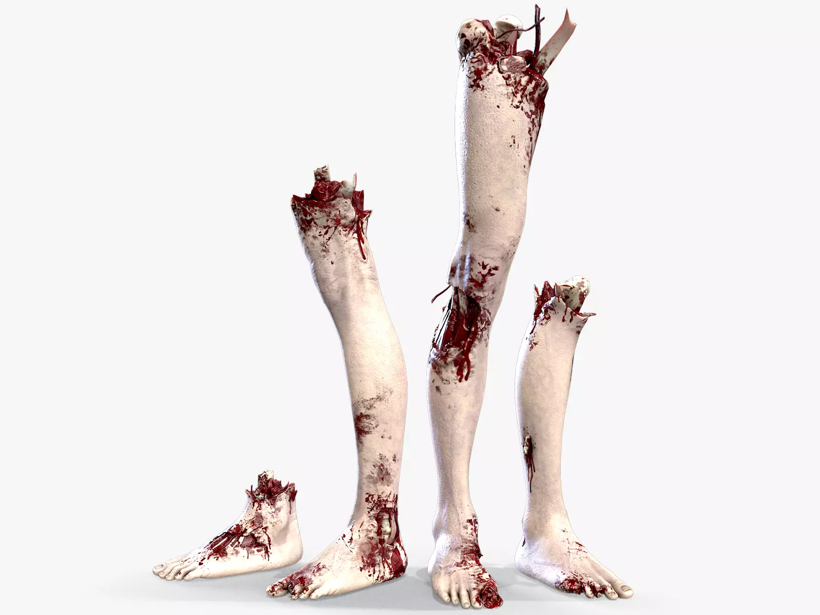 Severed Feet Collection Low-poly 3D model