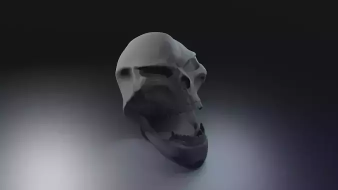 Skull 3D model sculpt
