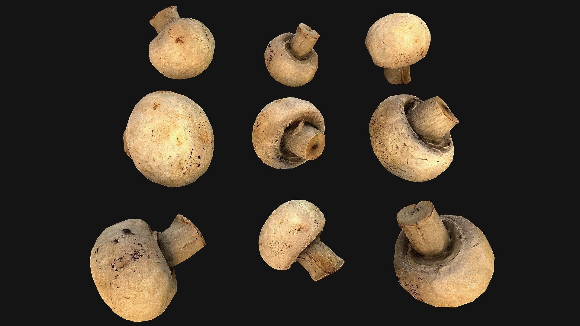 Basket with Mushrooms Low-poly 3D model_22