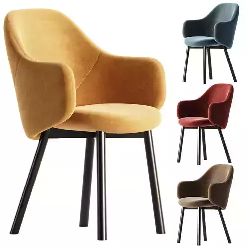 ALBU Easy chair with armrests By TON 3D model