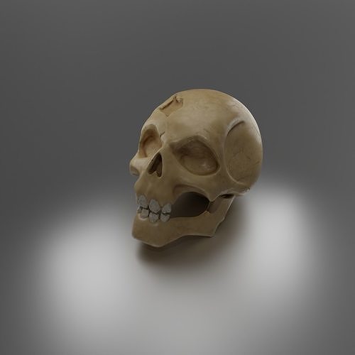Skull head model 3D model