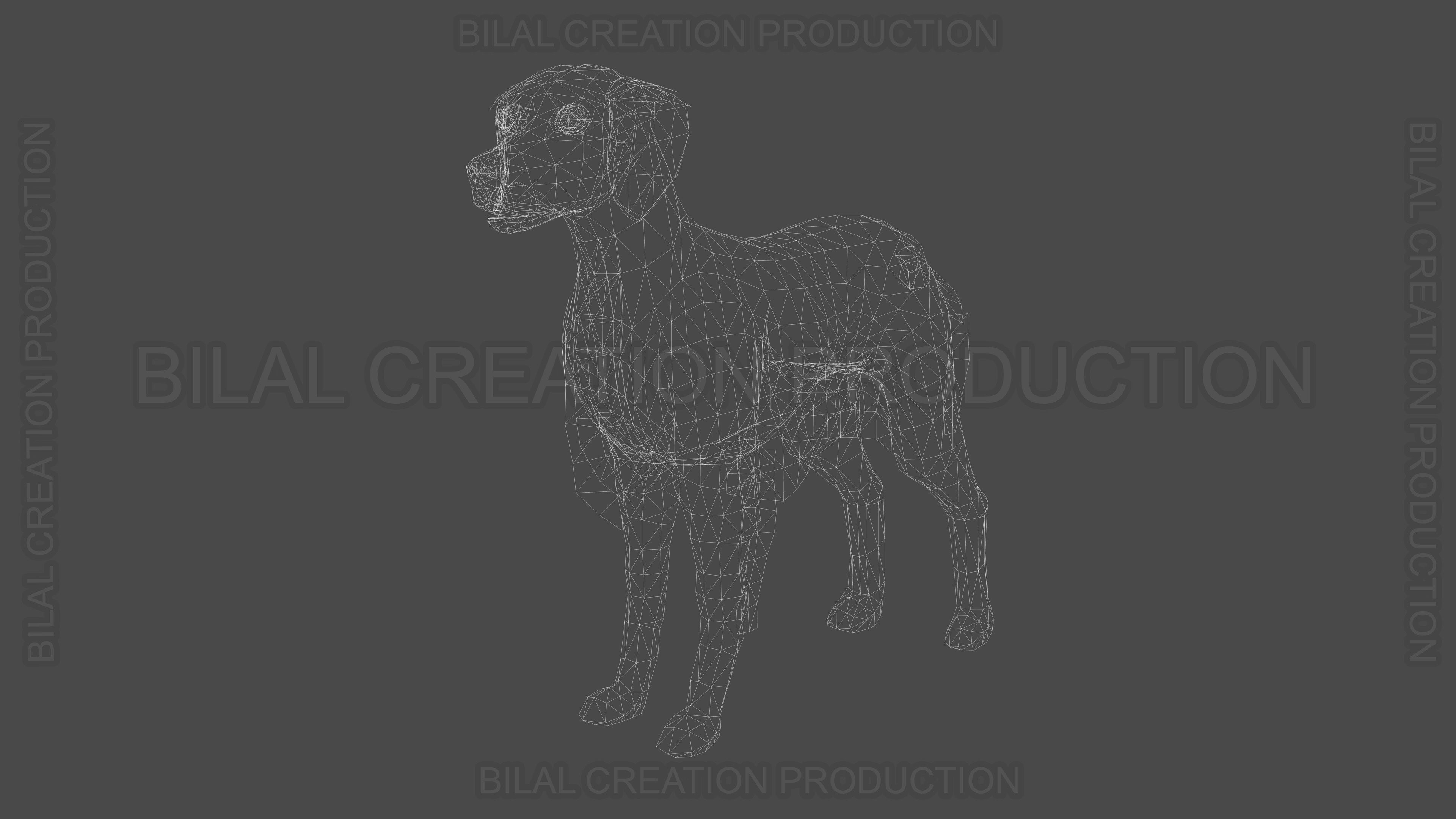 Brittany Dog Animated 3D model_21